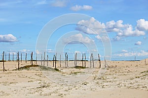Fence made of tree branches, delimited area on the coast near the beach, typical of the coast of northeastern Brazil. photo